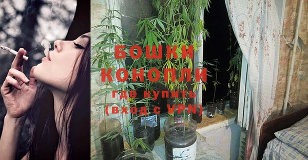 ПСИЛОЦИБИНОВЫЕ ГРИБЫ Зерноград