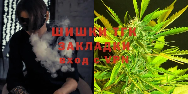 твердый Зеленодольск