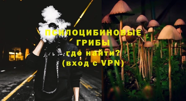 твердый Зеленодольск