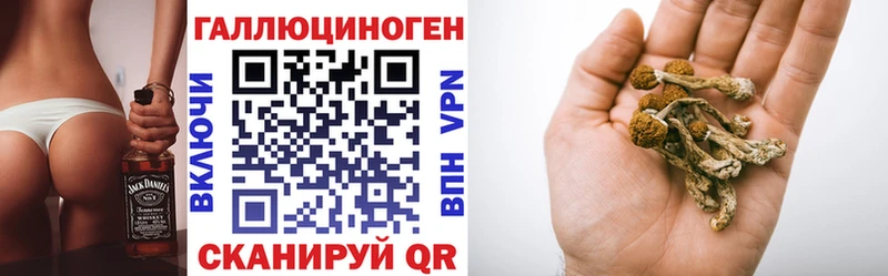 Галлюциногенные грибы Psilocybe  Купить  Камень-на-Оби 